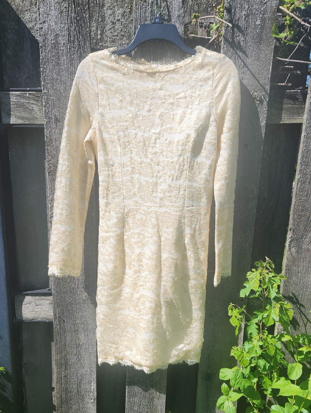 Cream Champagne Lace Long Sleeve Shift Sheath Dress Sz XL